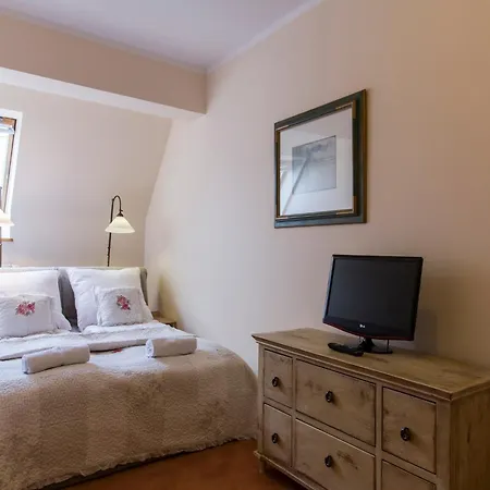 公寓 Udanypobyt Orkana Park Centrum 扎科帕内